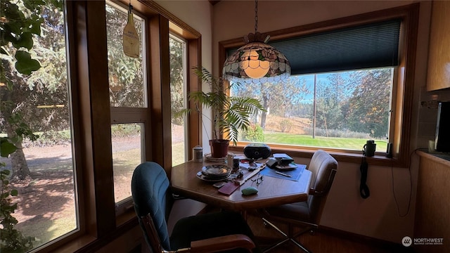 dining space featuring a wealth of natural light