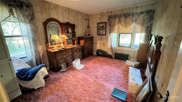 living area featuring wood walls and carpet floors