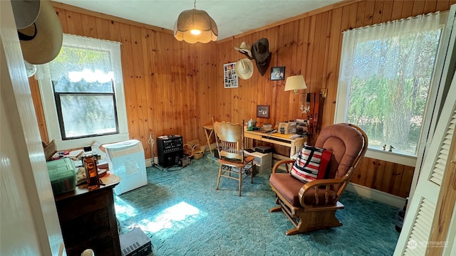 office area with carpet floors, wooden walls, and plenty of natural light