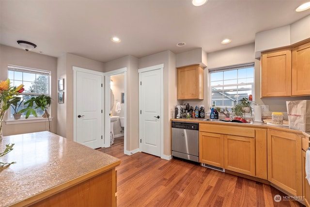 kitchen with light wood-type flooring, sink, and stainless steel dishwasher