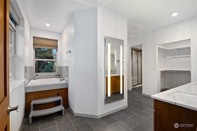 bathroom with vanity and a bathing tub