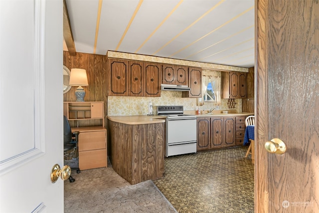 kitchen featuring stove, wood walls, sink, and tasteful backsplash