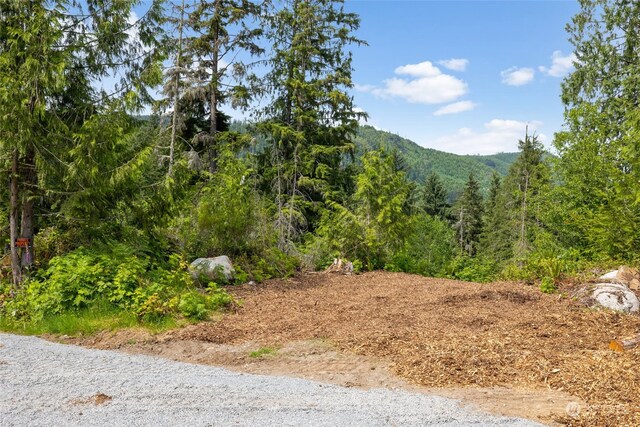 19500 Silverton Way, Granite Falls, WA 98252 - photo 9