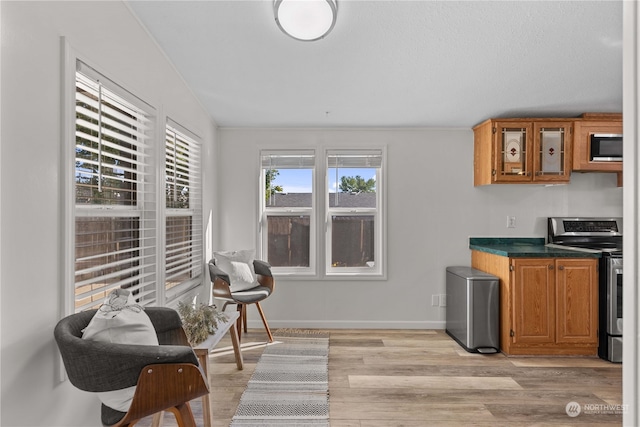 kitchen with appliances with stainless steel finishes, crown molding, and light hardwood / wood-style flooring