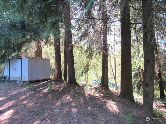 view of yard featuring a shed