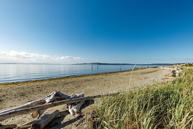 water view featuring a view of the beach