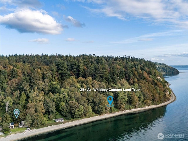 drone / aerial view with a water view and a view of trees