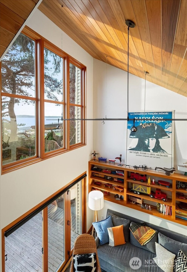 interior space with lofted ceiling and wooden ceiling