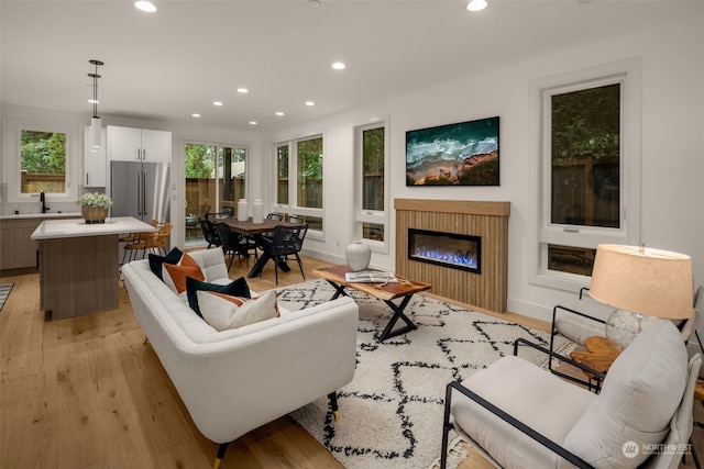 living room with light hardwood / wood-style floors and sink