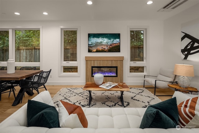 living room featuring light hardwood / wood-style flooring