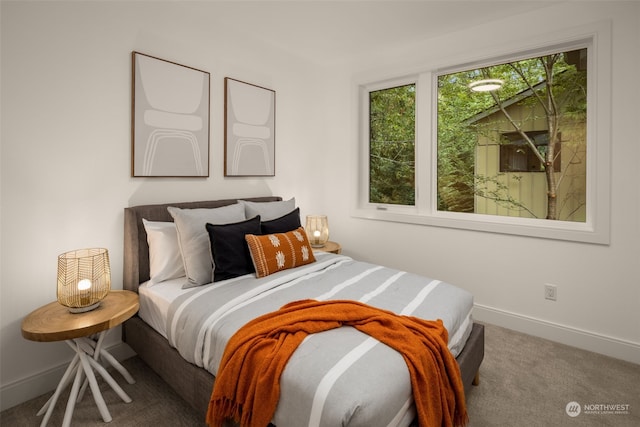 bedroom with carpet floors