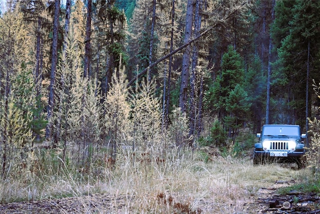 view of local wilderness