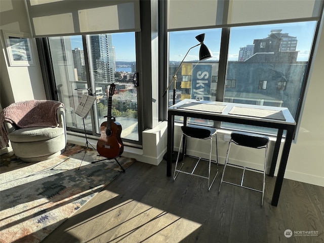 miscellaneous room with wood-type flooring and plenty of natural light