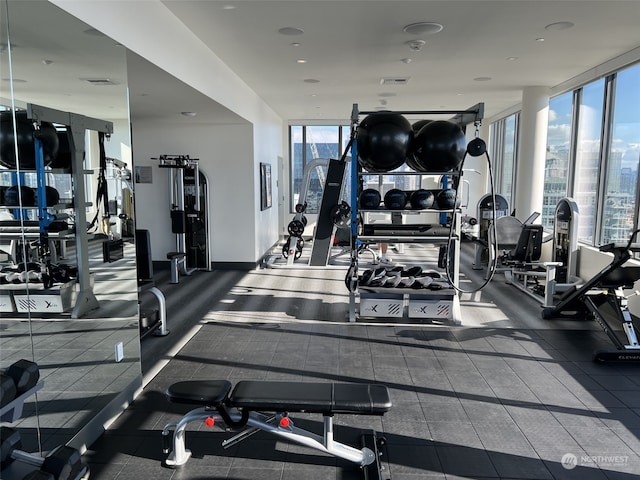 gym featuring floor to ceiling windows and a wealth of natural light