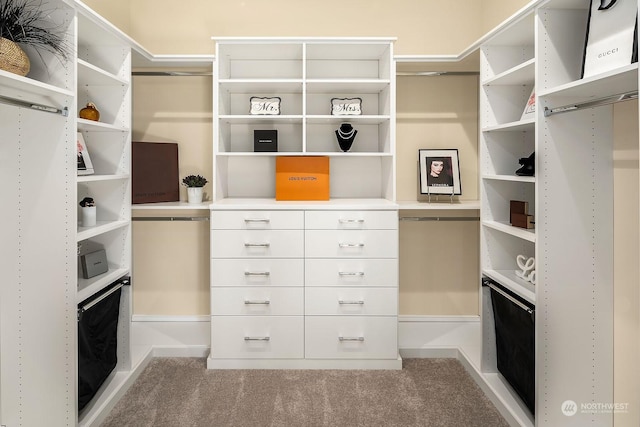 spacious closet with carpet flooring
