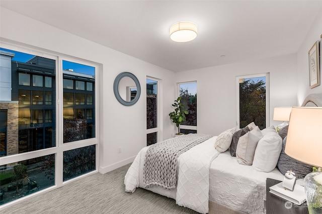 bedroom with carpet