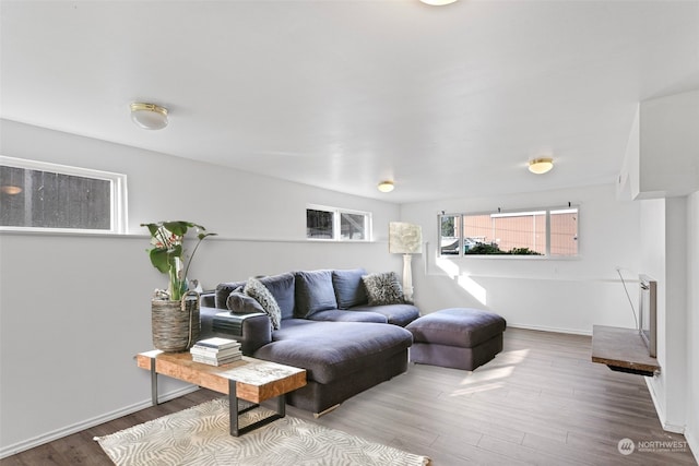 living room with wood-type flooring