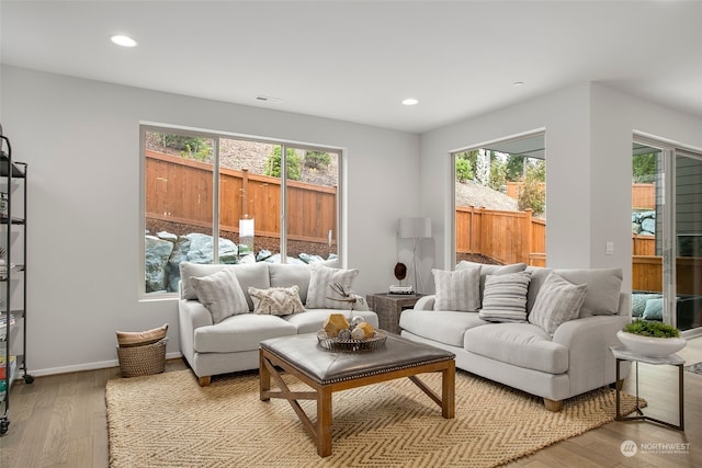 living room featuring light hardwood / wood-style flooring