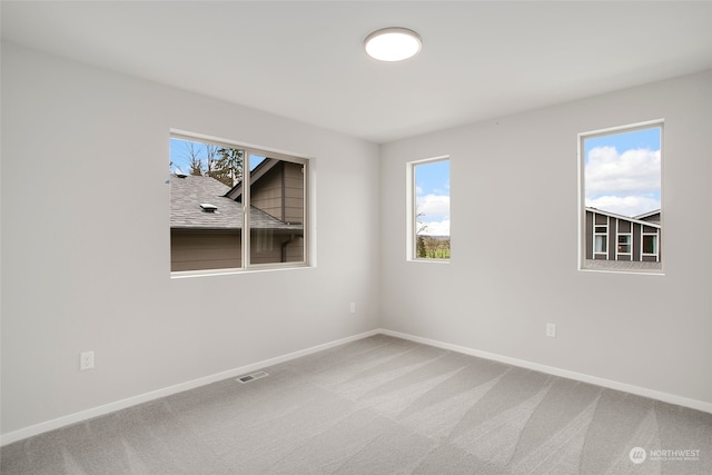 carpeted spare room with a wealth of natural light