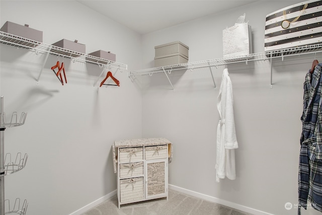 spacious closet with carpet