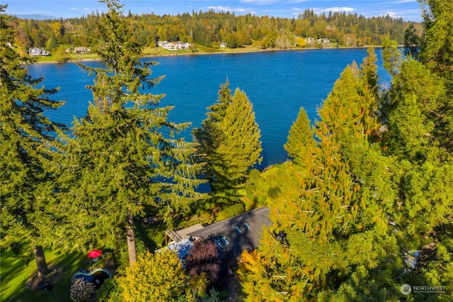 aerial view featuring a water view