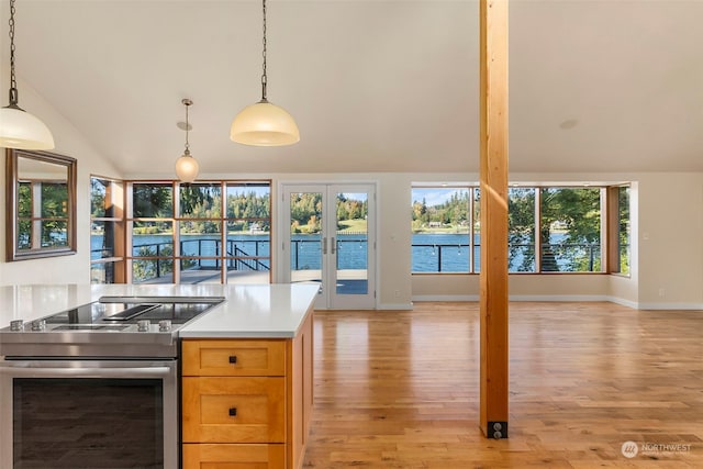 kitchen featuring a wealth of natural light, light hardwood / wood-style flooring, and stainless steel electric range