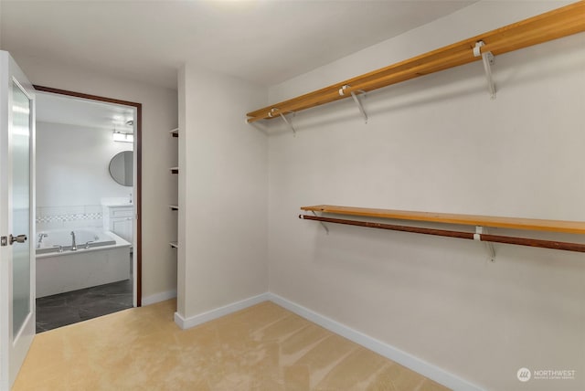 spacious closet featuring carpet