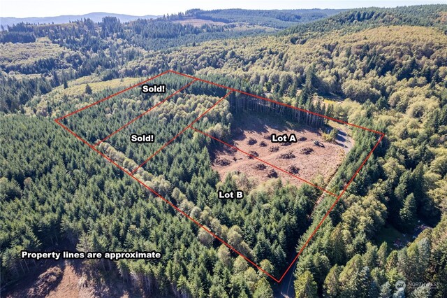 0 Hunter Rd, Longview, WA 98632