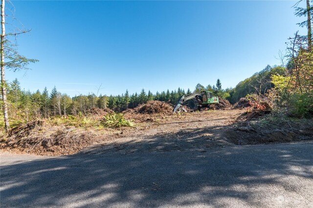 0 Hunter Rd, Longview, WA 98632