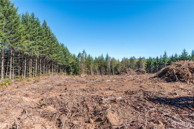 0 Hunter Rd, Longview, WA 98632