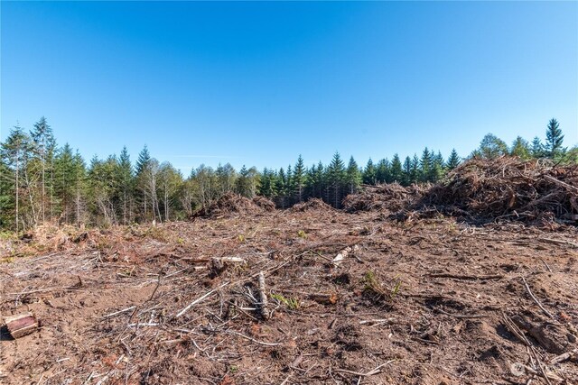 0 Hunter Rd, Longview, WA 98632