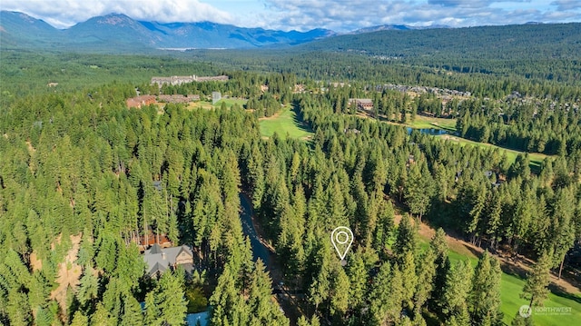 drone / aerial view featuring a forest view and a mountain view
