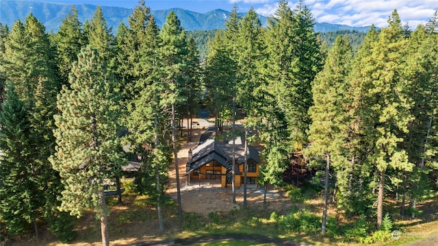 drone / aerial view featuring a mountain view