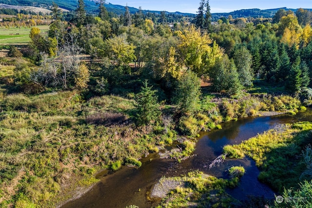 365 Boistfort Rd, Chehalis, WA 98532