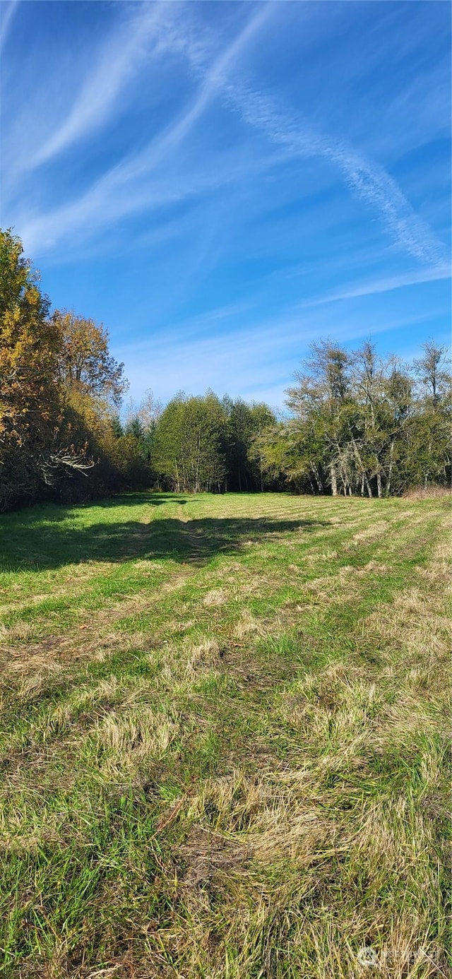 365 Boistfort Rd, Chehalis, WA 98532