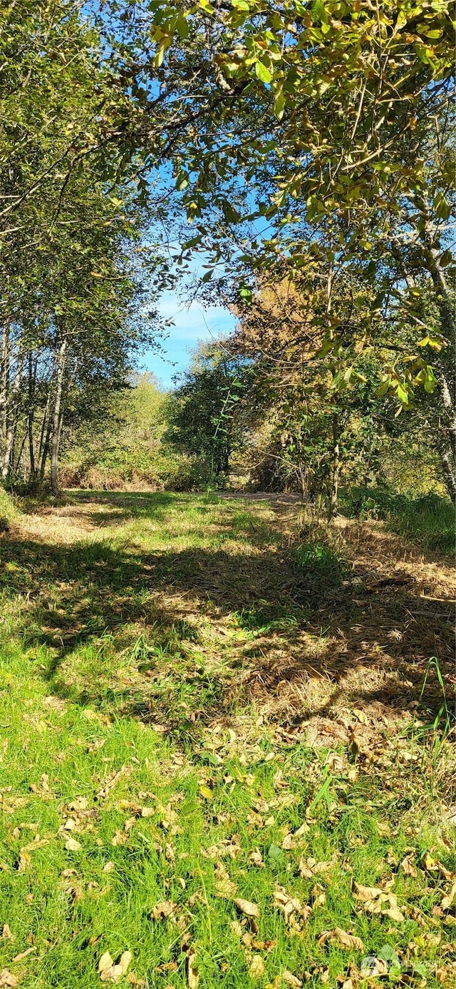 365 Boistfort Rd, Chehalis, WA 98532