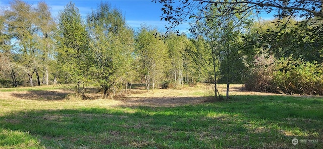 365 Boistfort Rd, Chehalis, WA 98532