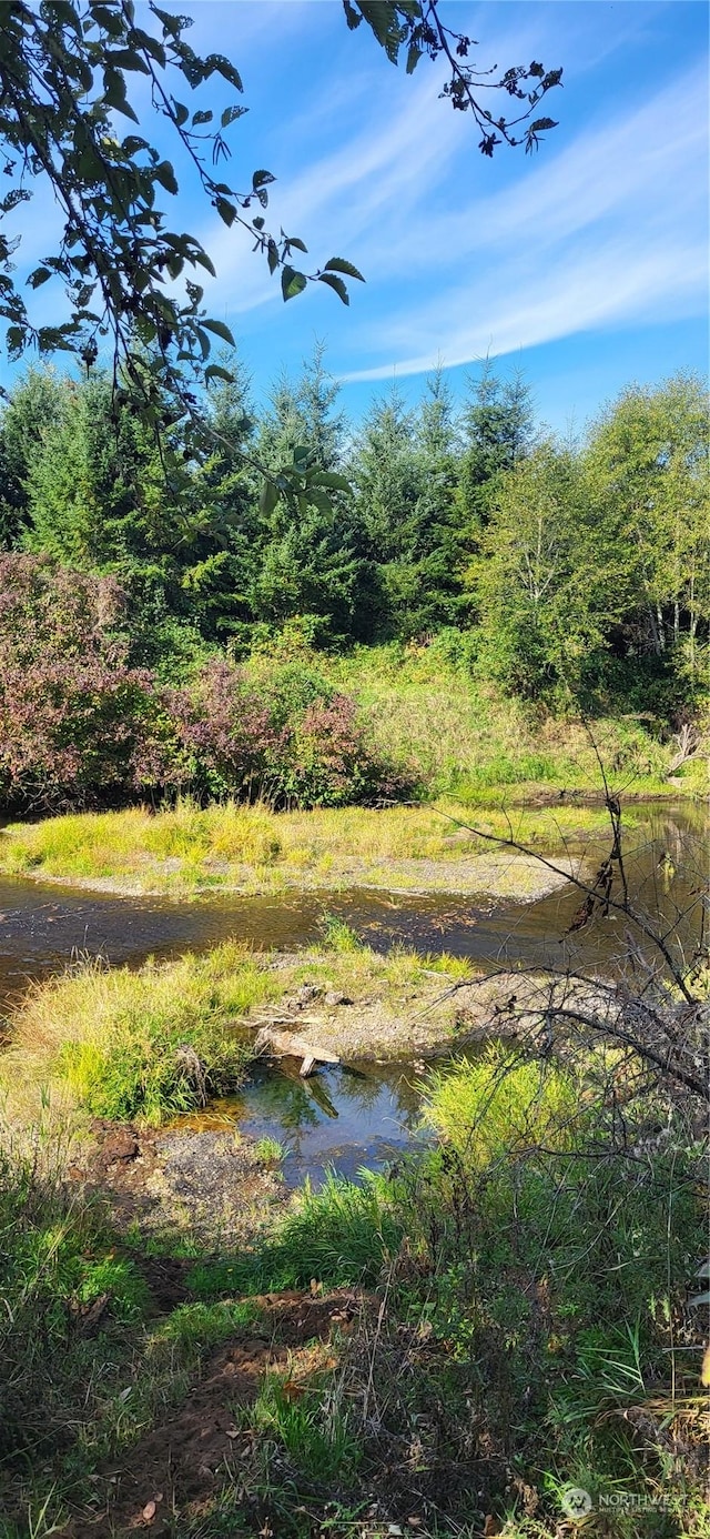 365 Boistfort Rd, Chehalis, WA 98532