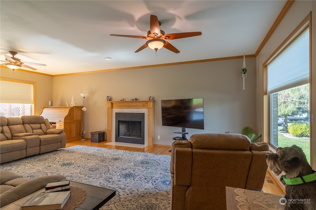 living room with ceiling fan, crown molding, and light hardwood / wood-style floors