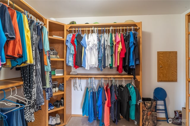 spacious closet featuring carpet