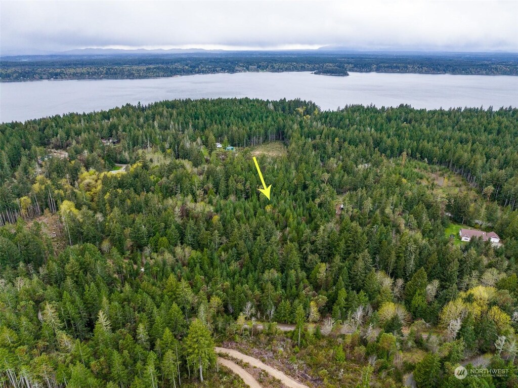 0 Tiedman Rd SW, Lakebay, WA 98349 - photo 3