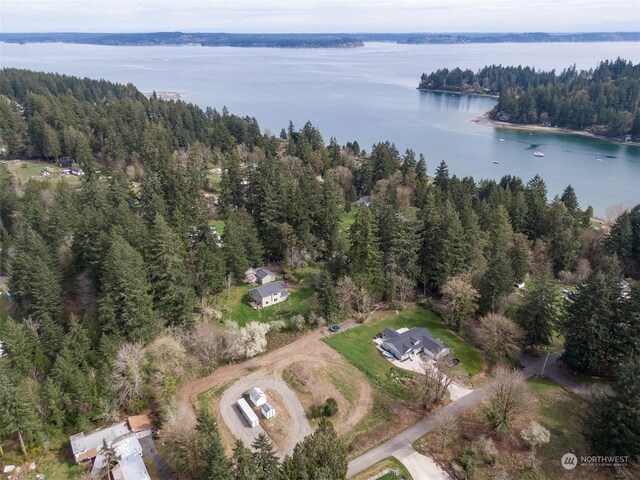 17227 4th Ave NW, Lakebay, WA 98349 - photo 29
