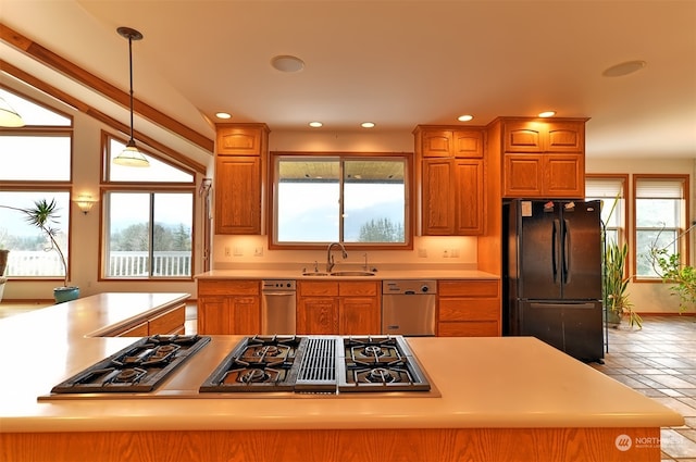 kitchen featuring vaulted ceiling, appliances with stainless steel finishes, a healthy amount of sunlight, and sink