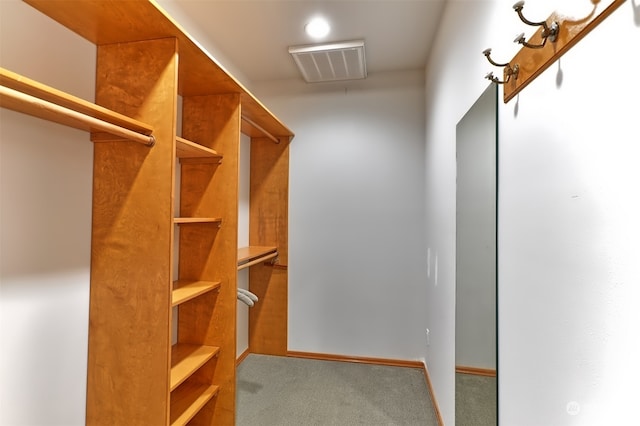 spacious closet featuring carpet