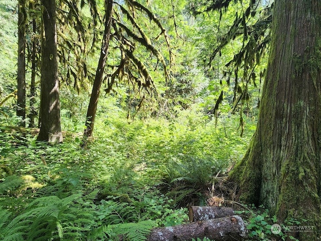 Address Not Disclosed, Maple Falls WA, 98266 land for sale