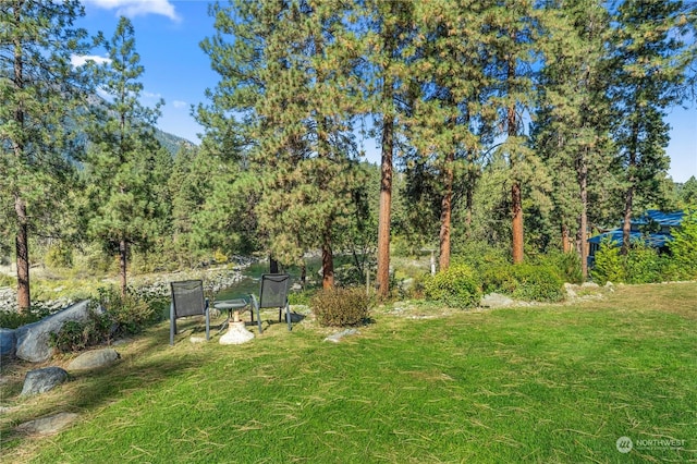 9696 E Leavenworth Rd, Leavenworth, WA 98826 - photo 20