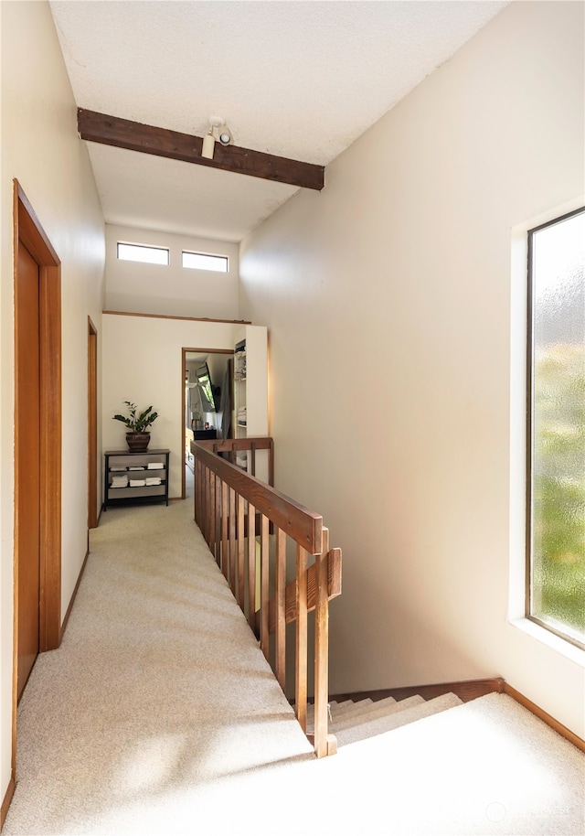 stairway with beamed ceiling and carpet flooring