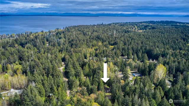 drone / aerial view featuring a water view and a forest view