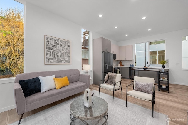 living room featuring light hardwood / wood-style floors and sink