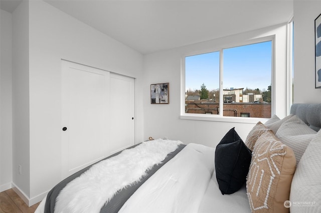 bedroom featuring a closet and wood-type flooring